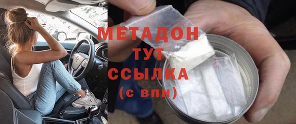 прущие грибы Аркадак
