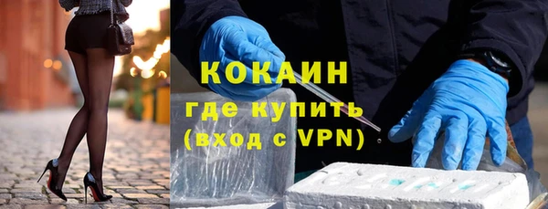 прущие грибы Аркадак