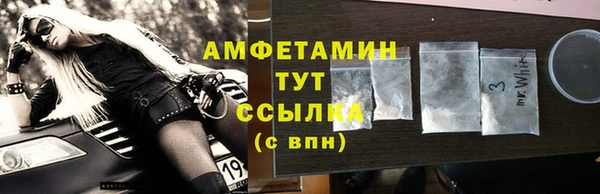 прущие грибы Аркадак