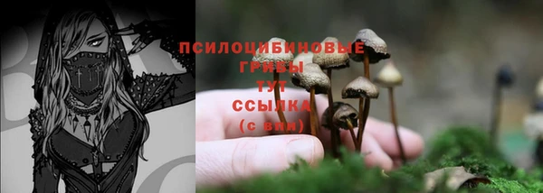 метамфетамин Армянск