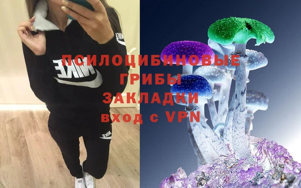 прущие грибы Аркадак