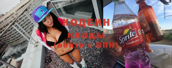 прущие грибы Аркадак