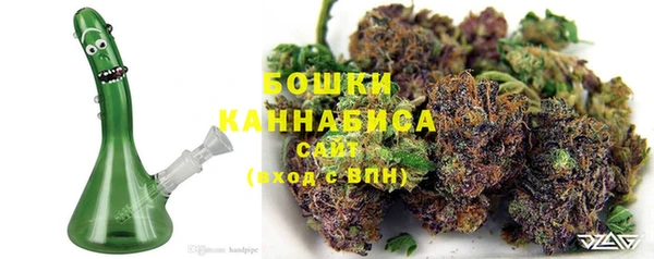 амф Козловка