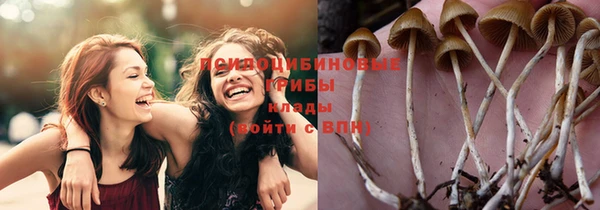 метамфетамин Армянск